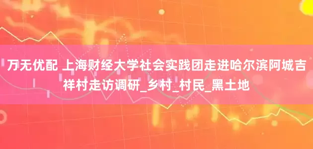 万无优配 上海财经大学社会实践团走进哈尔滨阿城吉祥村走访调研_乡村_村民_黑土地