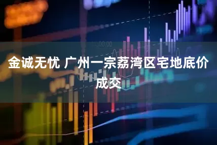 金诚无忧 广州一宗荔湾区宅地底价成交