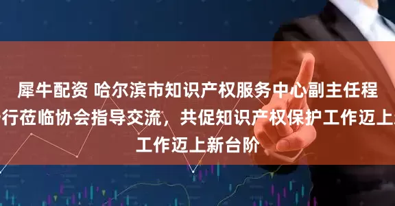 犀牛配资 哈尔滨市知识产权服务中心副主任程晓慧一行莅临协会指导交流，共促知识产权保护工作迈上新台阶